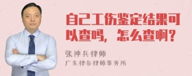 自己工伤鉴定结果可以查吗，怎么查啊？