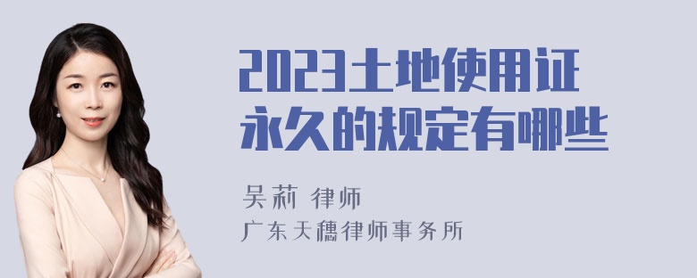 2023土地使用证永久的规定有哪些