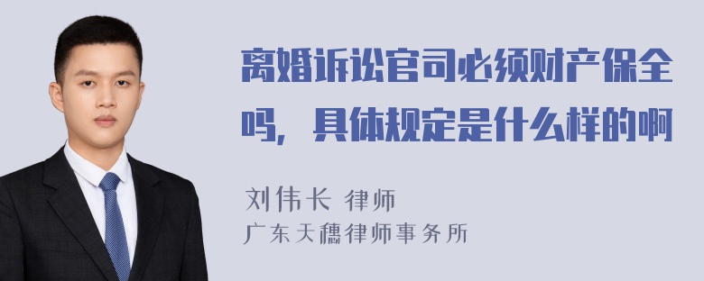 离婚诉讼官司必须财产保全吗，具体规定是什么样的啊