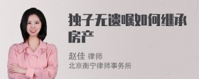 独子无遗嘱如何继承房产