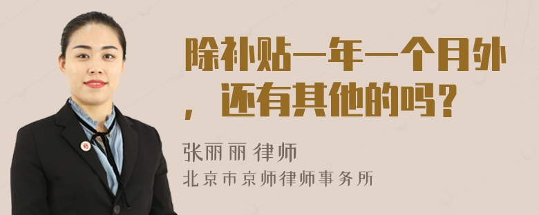 除补贴一年一个月外，还有其他的吗？