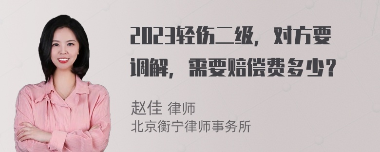 2023轻伤二级，对方要调解，需要赔偿费多少？