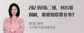 2023轻伤二级，对方要调解，需要赔偿费多少？