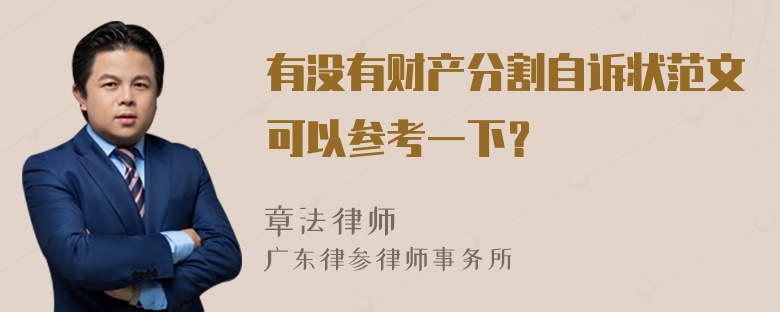 有没有财产分割自诉状范文可以参考一下？