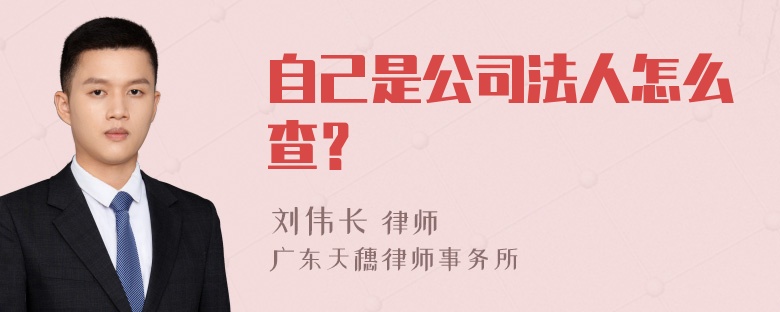 自己是公司法人怎么查？