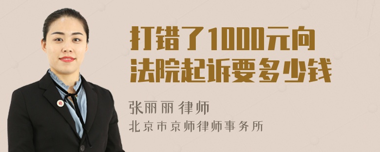 打错了1000元向法院起诉要多少钱