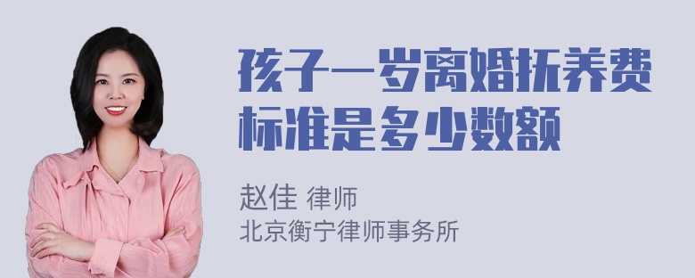 孩子一岁离婚抚养费标准是多少数额