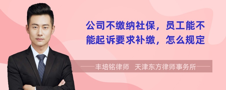 公司不缴纳社保，员工能不能起诉要求补缴，怎么规定