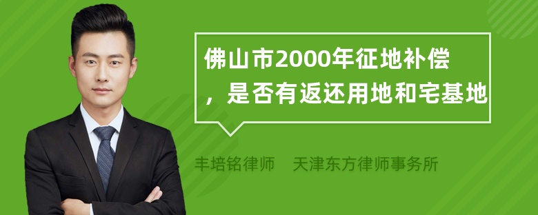 佛山市2000年征地补偿，是否有返还用地和宅基地