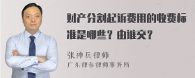 财产分割起诉费用的收费标准是哪些？由谁交？