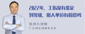 2022年，工伤没有鉴定到等级，用人单位有赔偿吗