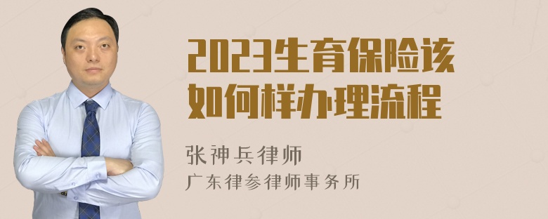 2023生育保险该如何样办理流程