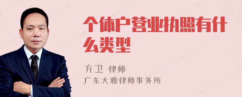 个体户营业执照有什么类型