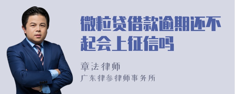 微粒贷借款逾期还不起会上征信吗