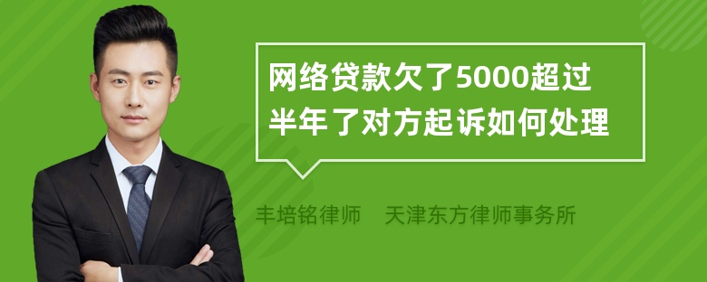 网络贷款欠了5000超过半年了对方起诉如何处理