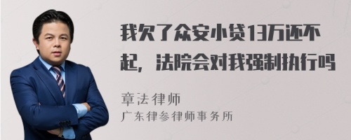 我欠了众安小贷13万还不起，法院会对我强制执行吗