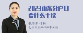 2023山东分户口要什么手续