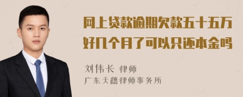 网上贷款逾期欠款五十五万好几个月了可以只还本金吗