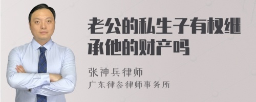 老公的私生子有权继承他的财产吗