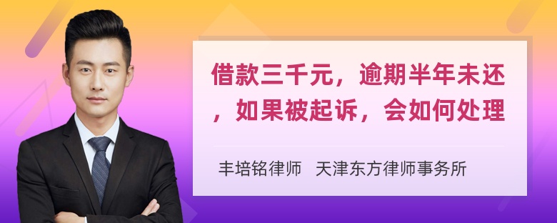 借款三千元，逾期半年未还，如果被起诉，会如何处理