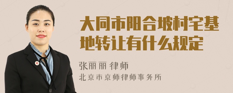 大同市阳合坡村宅基地转让有什么规定