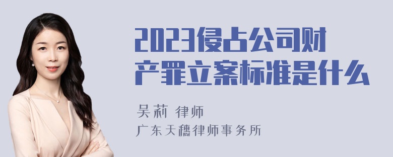 2023侵占公司财产罪立案标准是什么