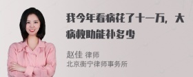 我今年看病花了十一万，大病救助能补多少