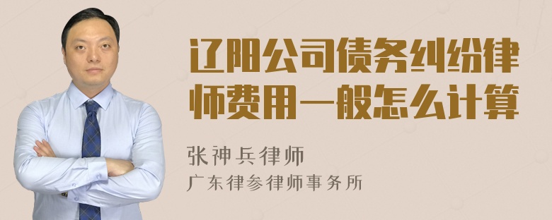 辽阳公司债务纠纷律师费用一般怎么计算