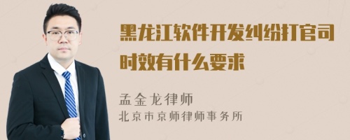 黑龙江软件开发纠纷打官司时效有什么要求