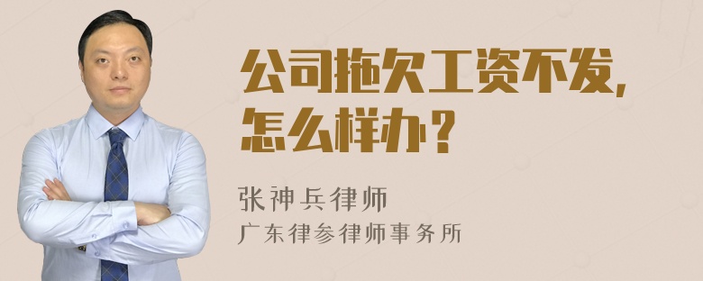 公司拖欠工资不发，怎么样办？