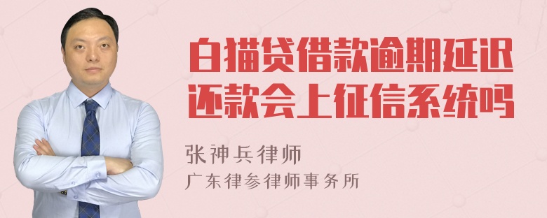 白猫贷借款逾期延迟还款会上征信系统吗