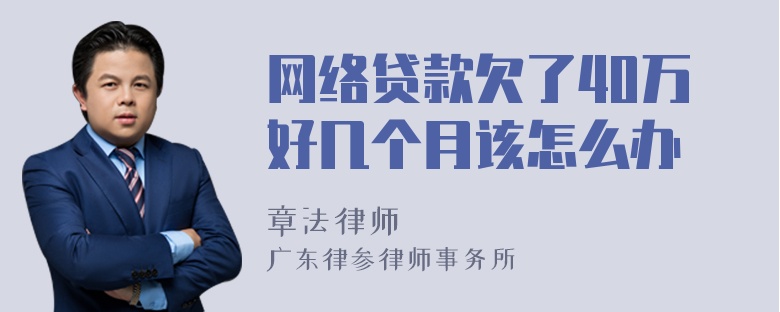 网络贷款欠了40万好几个月该怎么办