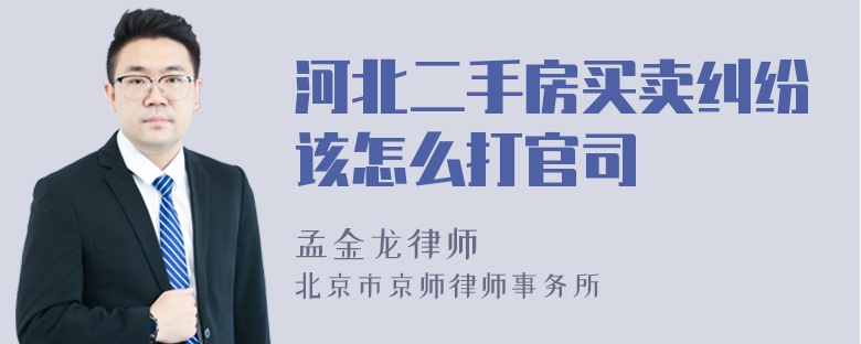 河北二手房买卖纠纷该怎么打官司