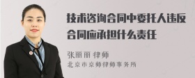 技术咨询合同中委托人违反合同应承担什么责任