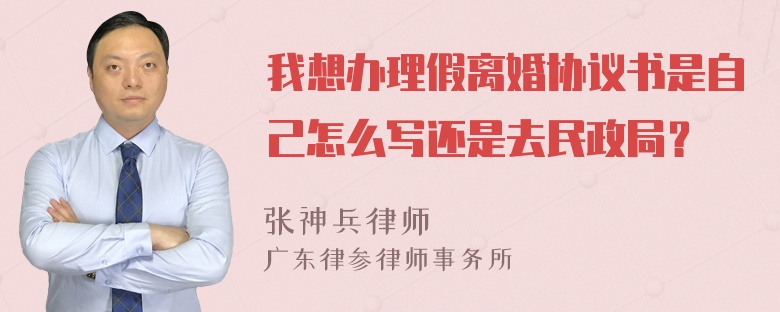 我想办理假离婚协议书是自己怎么写还是去民政局？