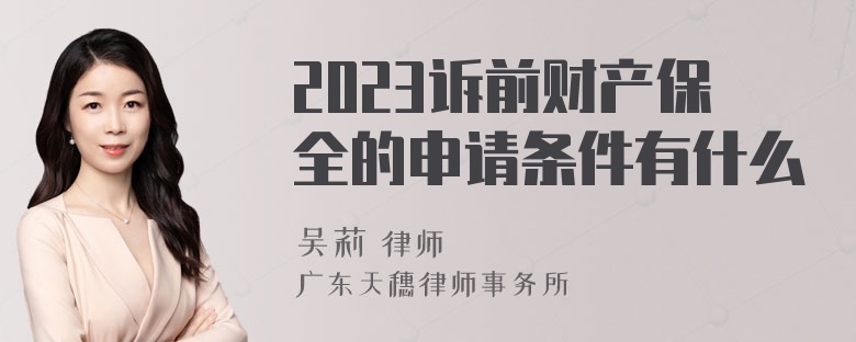 2023诉前财产保全的申请条件有什么