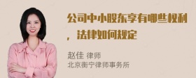 公司中小股东享有哪些权利，法律如何规定