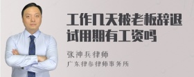 工作几天被老板辞退试用期有工资吗