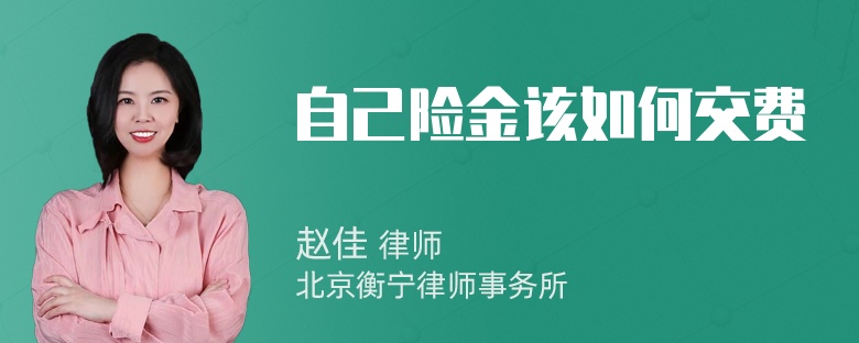 自己险金该如何交费