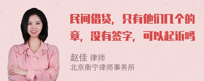 民间借贷，只有他们几个的章，没有签字，可以起诉吗