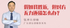 假如我胜诉，但对方无力还债怎么办？