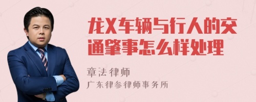 龙X车辆与行人的交通肇事怎么样处理