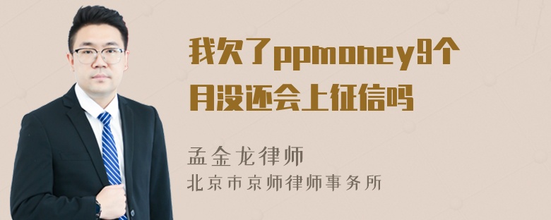 我欠了ppmoney9个月没还会上征信吗