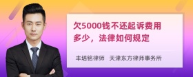 欠5000钱不还起诉费用多少，法律如何规定