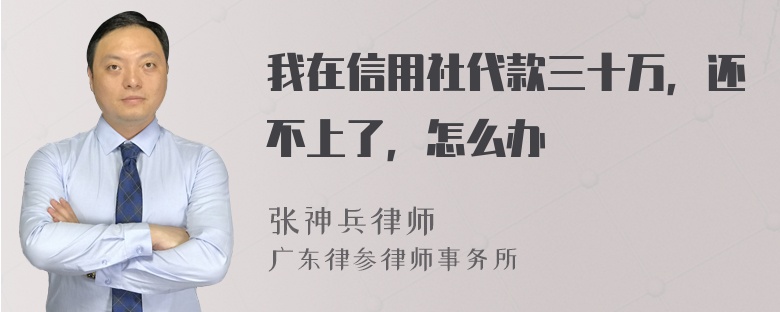 我在信用社代款三十万，还不上了，怎么办