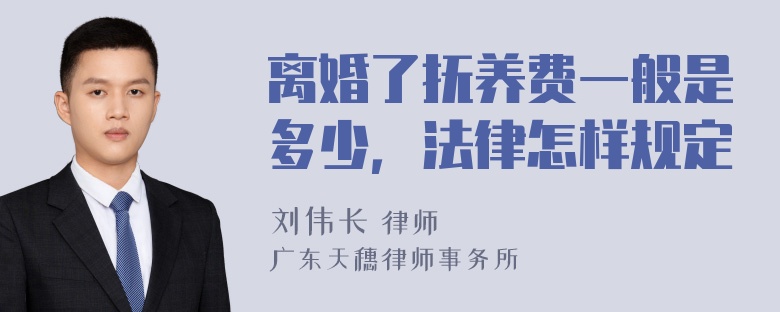 离婚了抚养费一般是多少，法律怎样规定