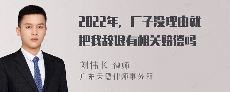 2022年，厂子没理由就把我辞退有相关赔偿吗