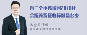 有二个小孩请问2010社会抚养费征收标准是多少