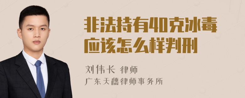 非法持有40克冰毒应该怎么样判刑