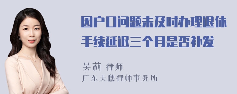 因户口问题未及时办理退休手续延迟三个月是否补发